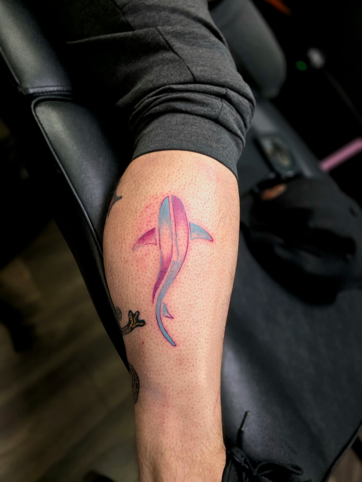 Tattoo portfolio work